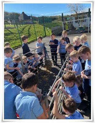 class photo