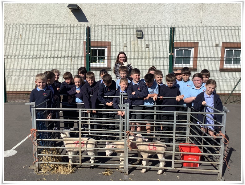 class photo