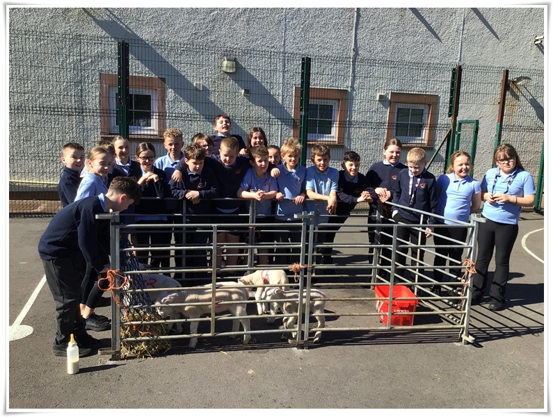 class photo