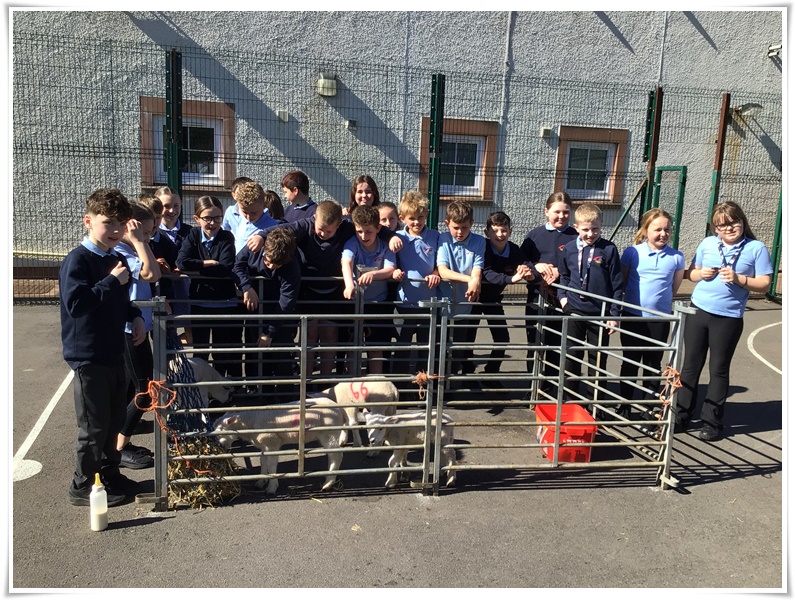 class photo