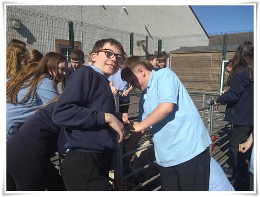 class photo